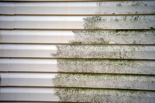 Best Construction Debris Removal  in Happy Valley, OR